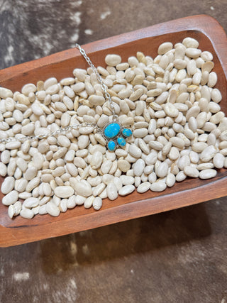 Echo Valley Necklace