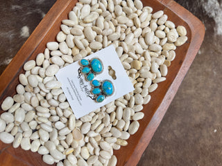 Echo Valley Earrings