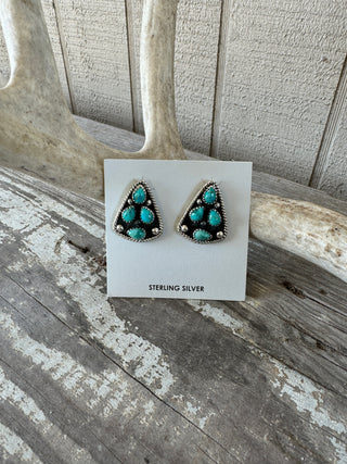 Ft Worth Earrings