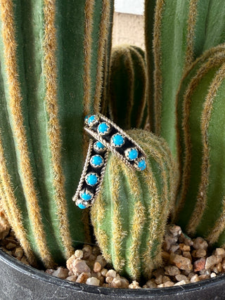 Turquoise Hoops