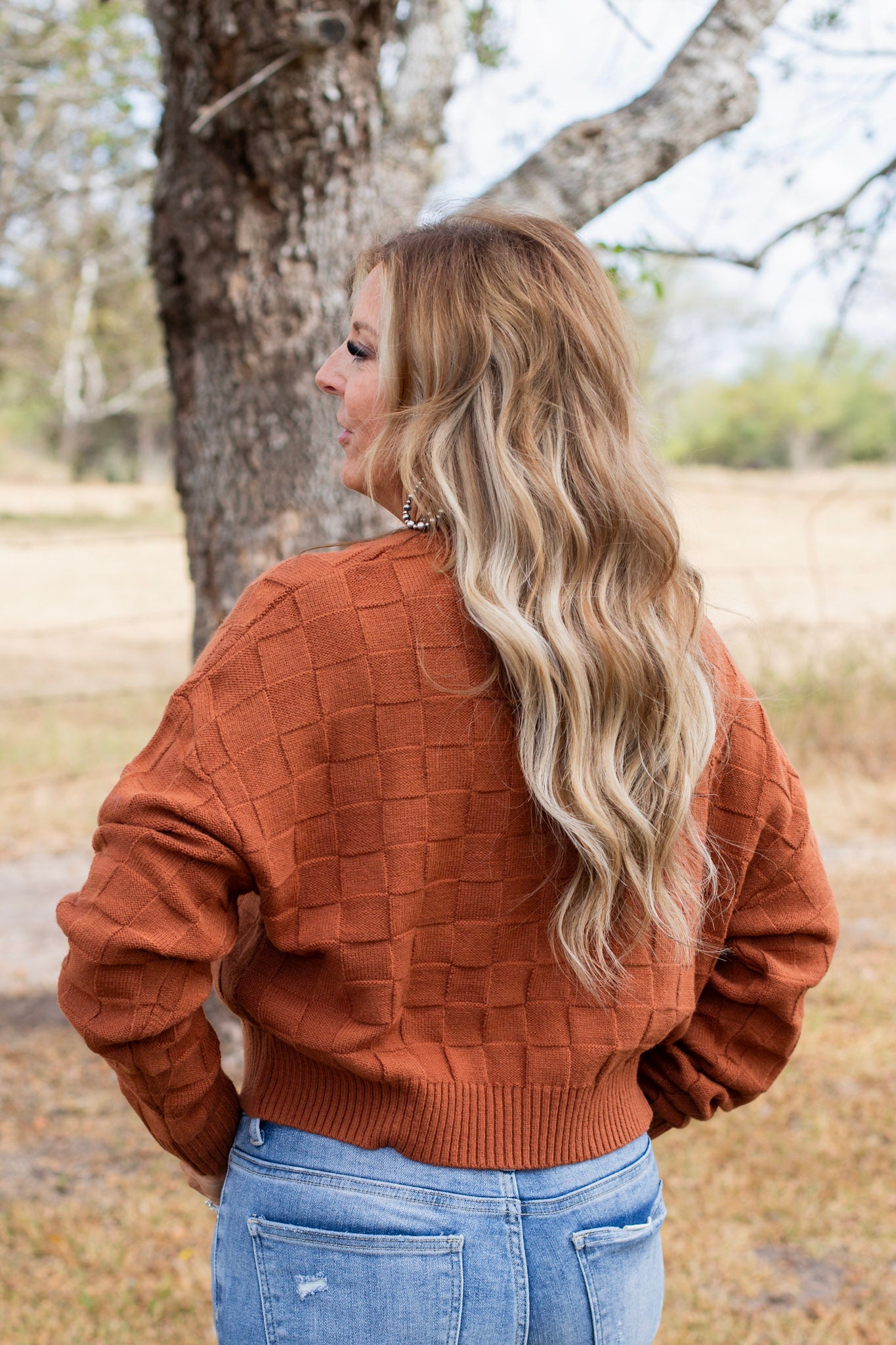 Autumn Hues Sweater ~ Rust