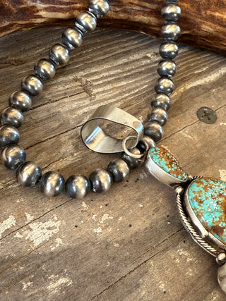Saguaro Canyon Pendant
