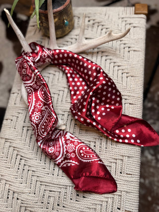 Paisley Dot Wild Rag ~ Red