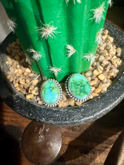 Sonoran Gold Stud Earrings