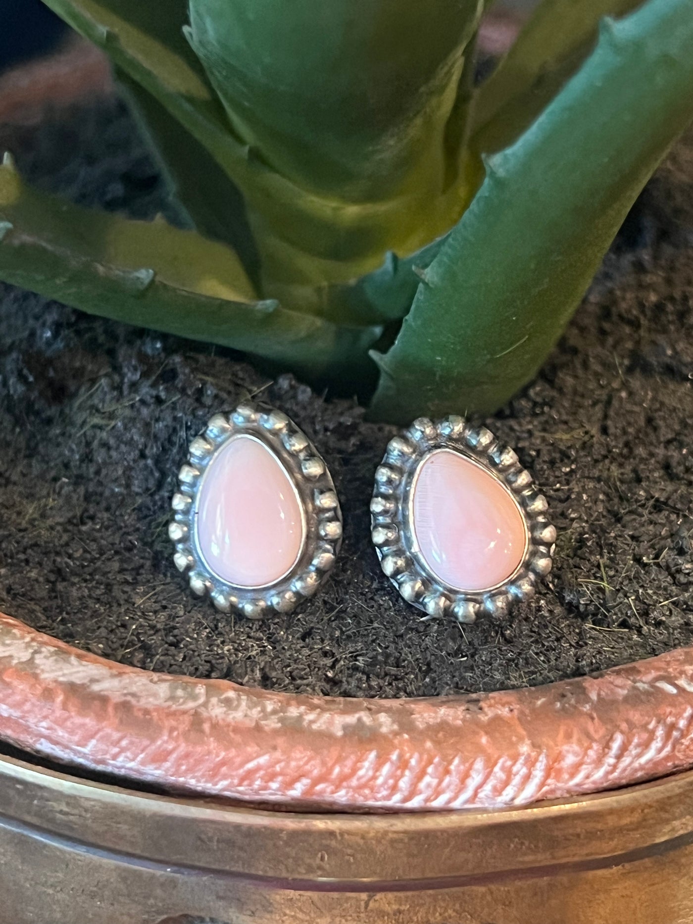 Pink Conch Stud Earrings
